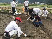 年 栽培日記