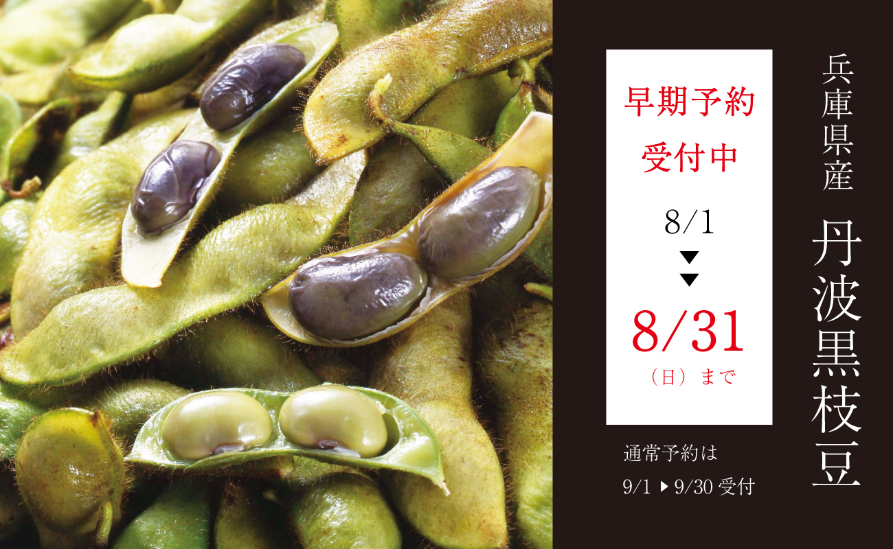 兵庫県産丹波黒枝豆　早期予約受付中！