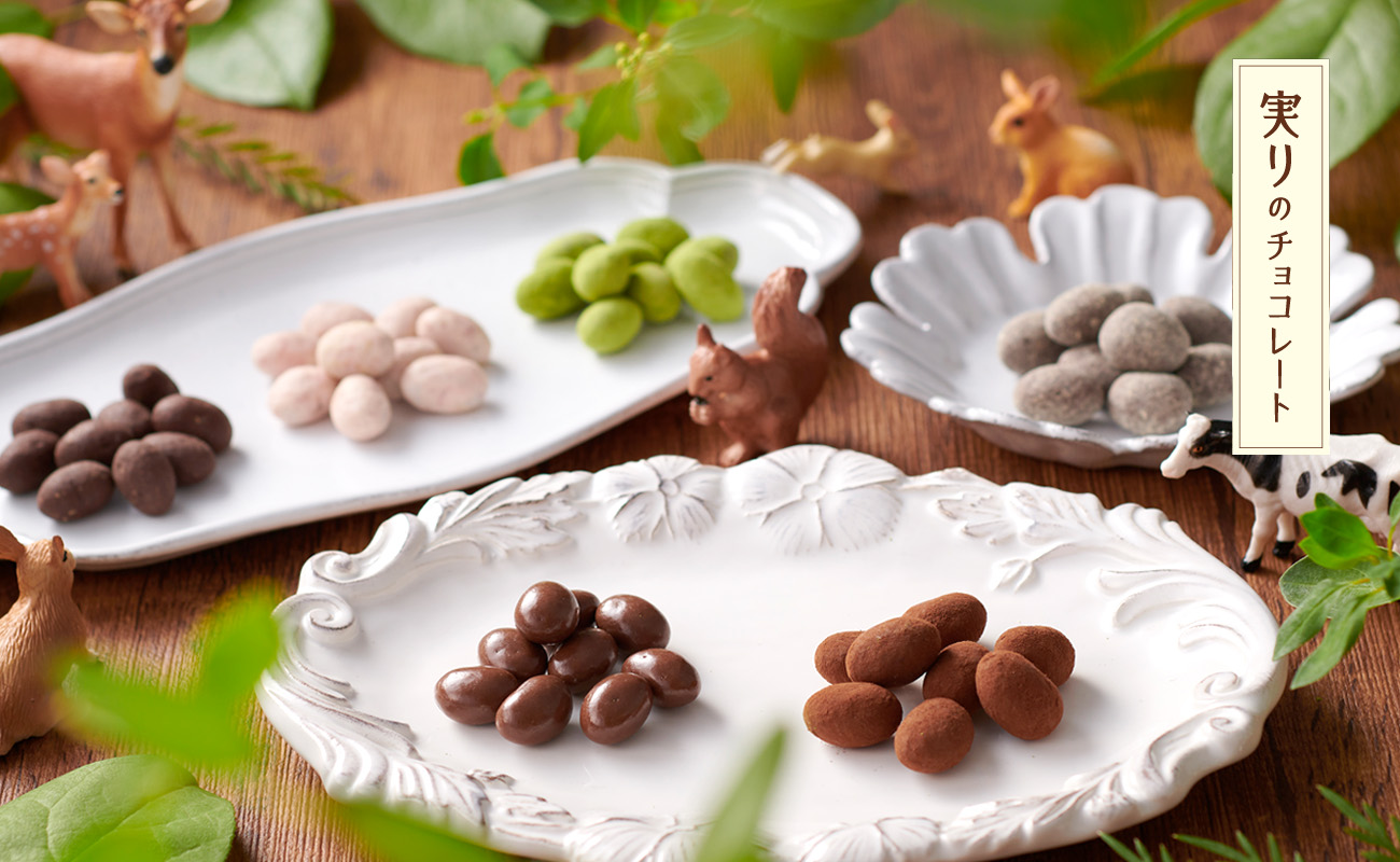 実りのチョコレート　バレンタイン　ギフトボックス