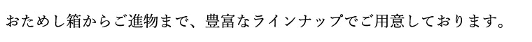 商品ラインナップ