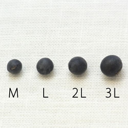 丹波黒大豆　サイズ